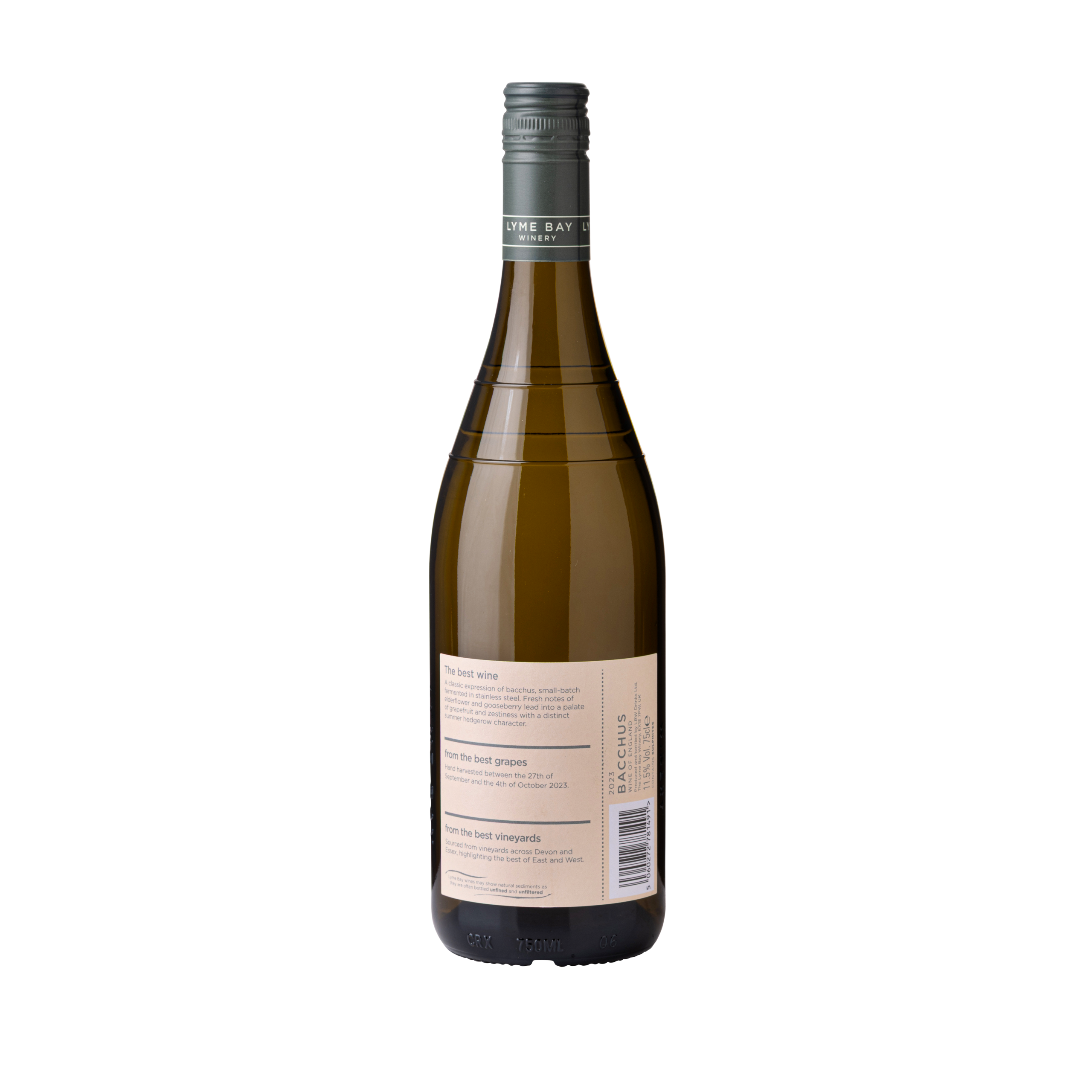 Bacchus 2023 - Image 2