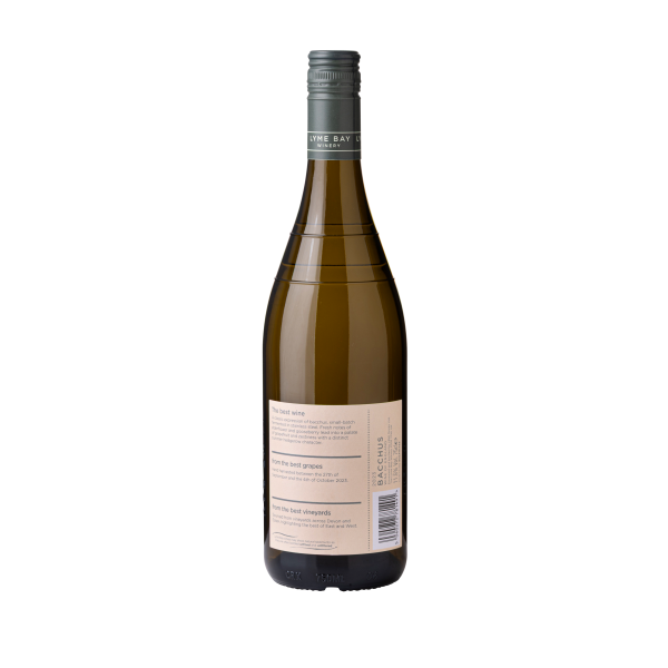 Bacchus 2023 - Image 2