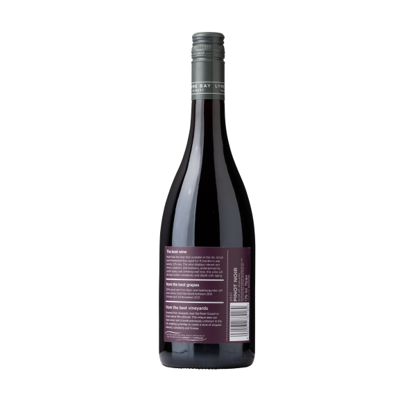 Pinot Noir 2021 - Image 2