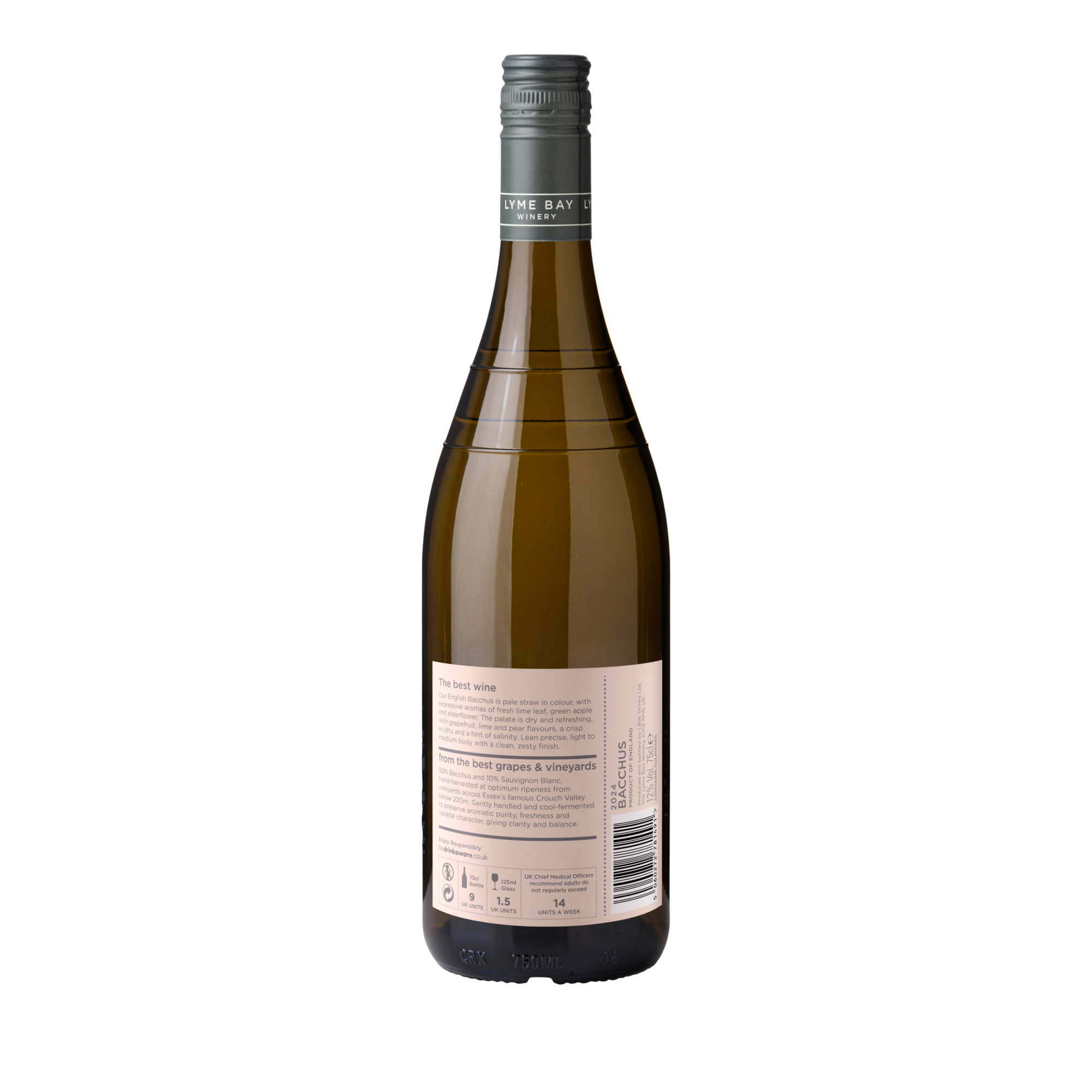 Bacchus 2024 - Image 2