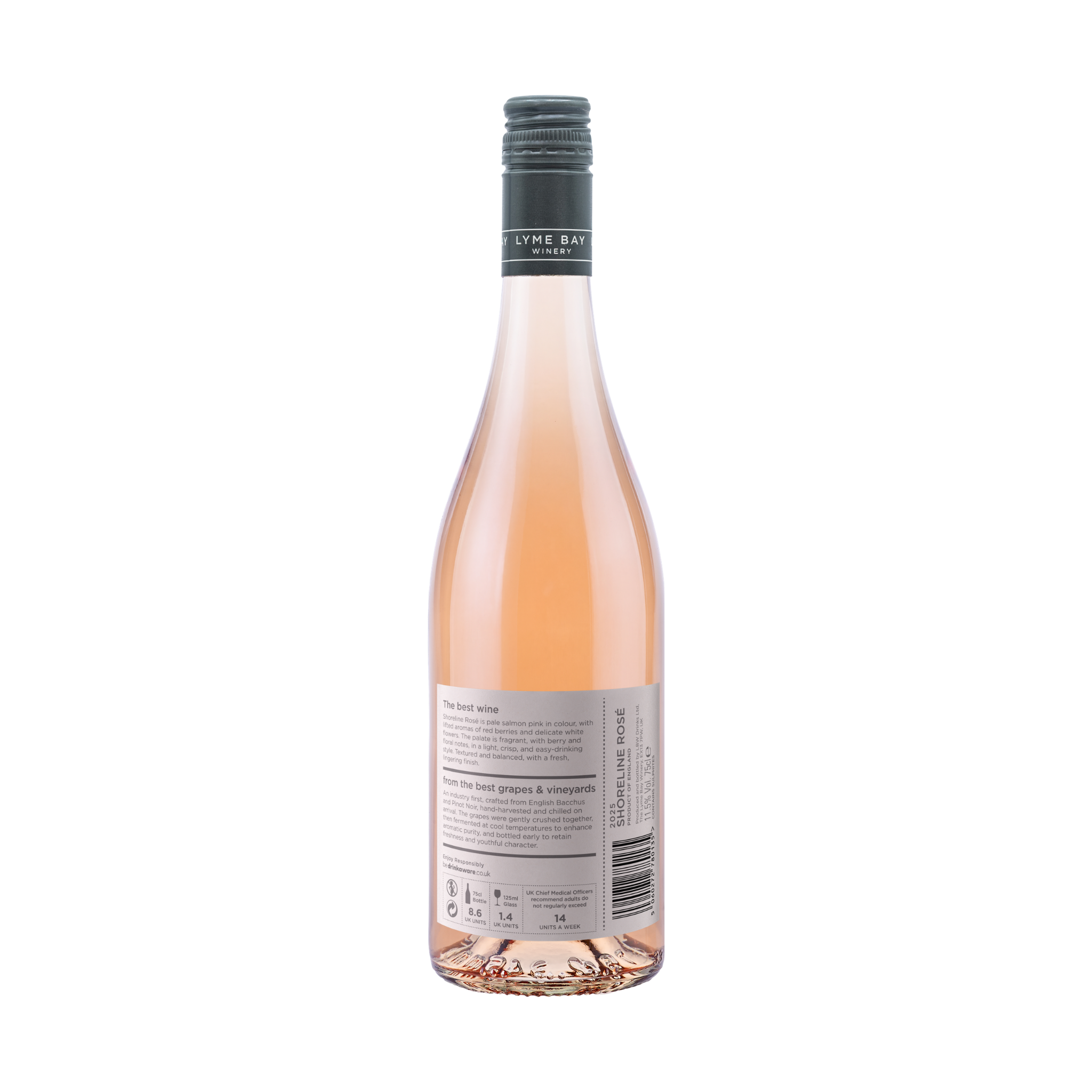 Shoreline Rosé 2025 - Image 2