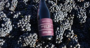 One vineyard, more than one wine