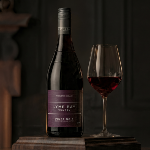 Beginner’s Guide to Tasting Wine