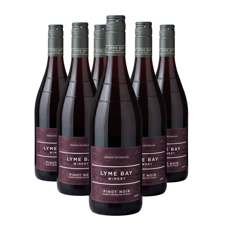 Case of 6 bottles Pinot Noir 2024